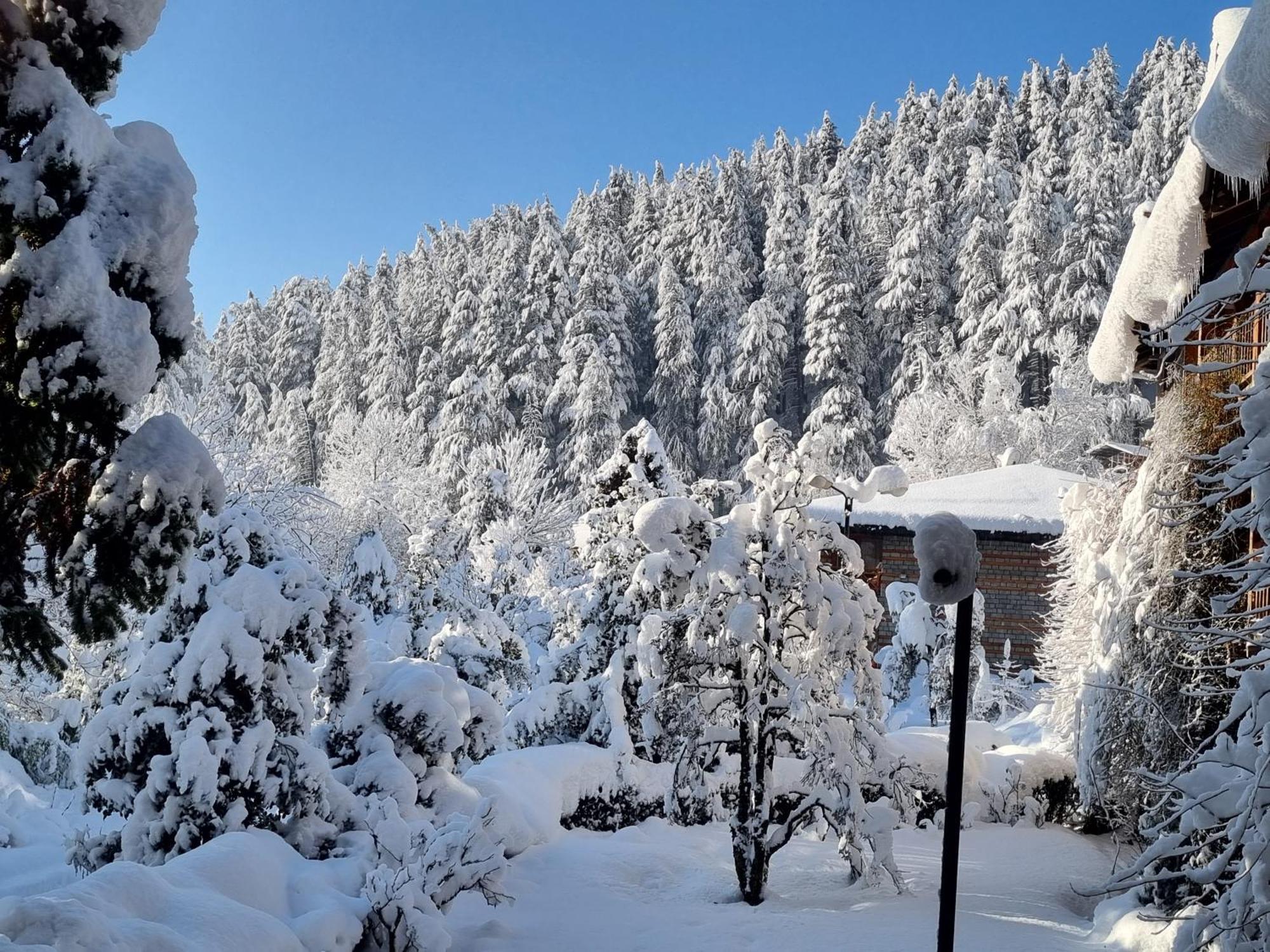 Banon Resorts Manāli Eksteriør billede
